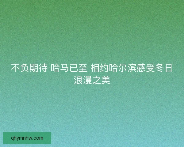 不负期待 哈马已至 相约哈尔滨感受冬日浪漫之美